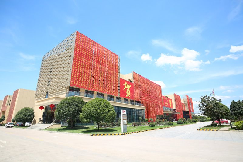 明星企业z6尊龙集团光学逆袭之路