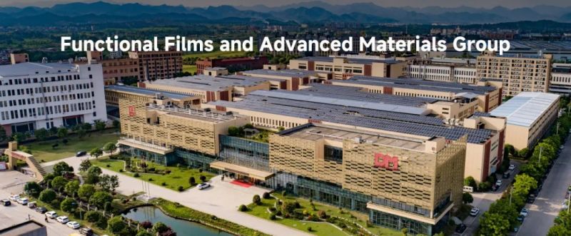 z6尊龙集团光学海外版官网正式上线 彰显全球化战略新布局